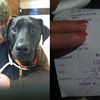 Customer Leaves NJ Bartender $1,000 Tip For Her Dog's Surgery